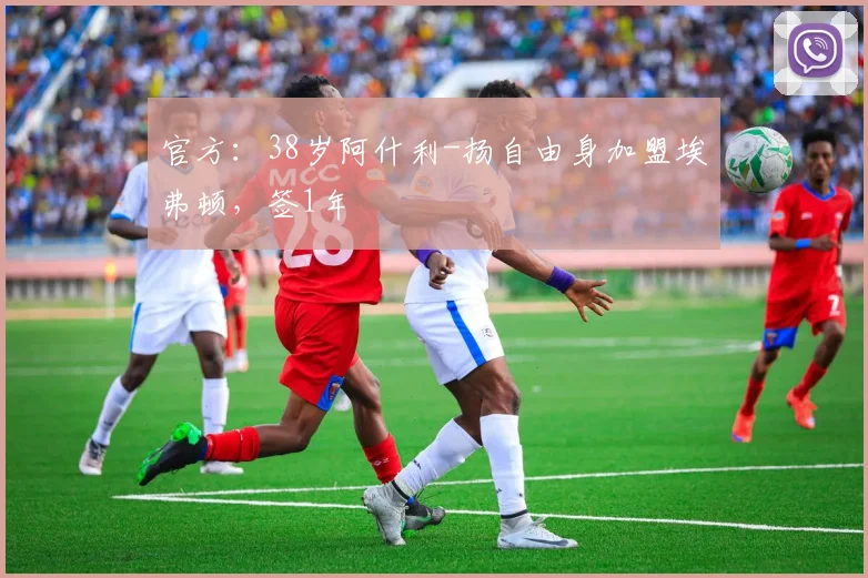 官方：38岁阿什利-扬自由身加盟埃弗顿，签1年