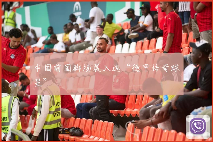 中国前国脚杨晨入选“德甲传奇球星”