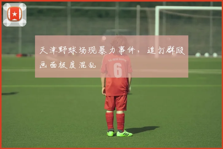 天津野球场现暴力事件，追打群殴画面极度混乱