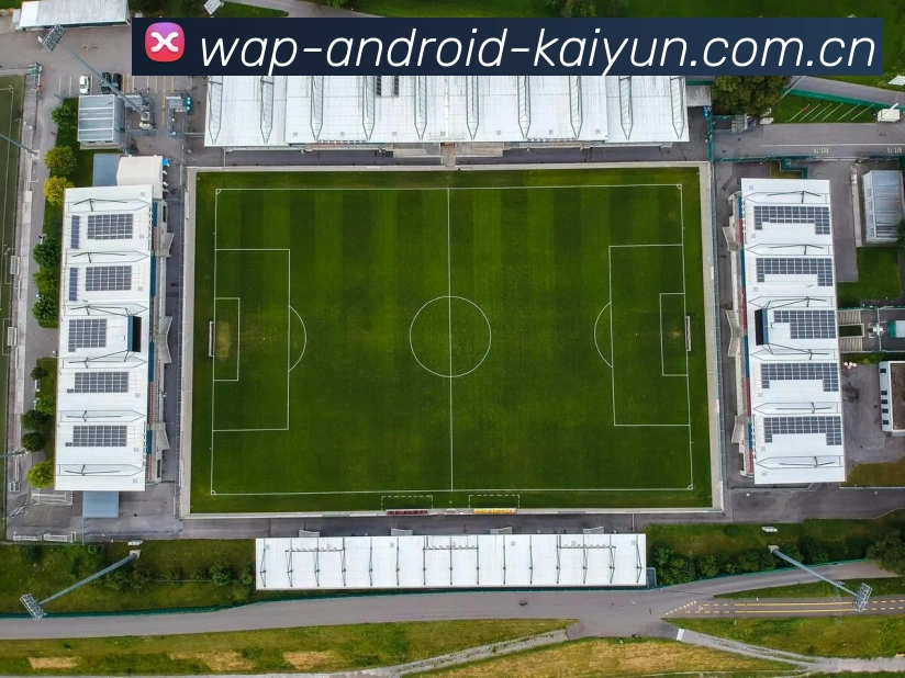 开云(kaiyun)手机发展历程
